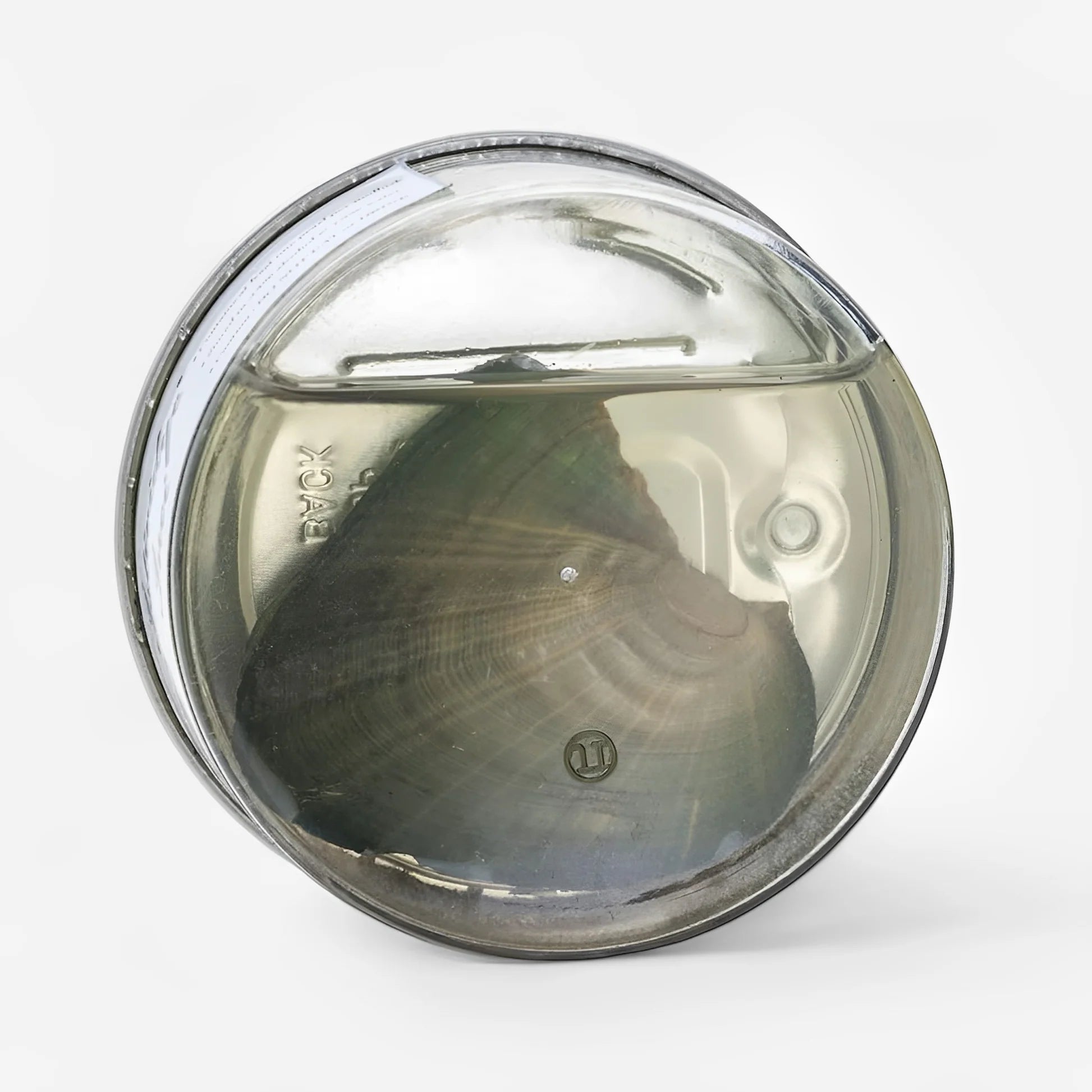 Rosebloom™️ Wish Pearl Gift Box