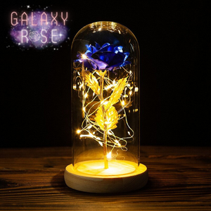 Galaxy Rose Lamp