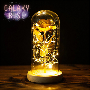 Galaxy Rose Lamp